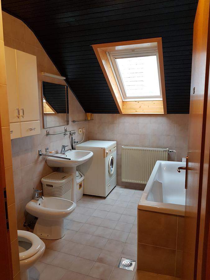 Apartment Manca ليوبليانا المظهر الخارجي الصورة