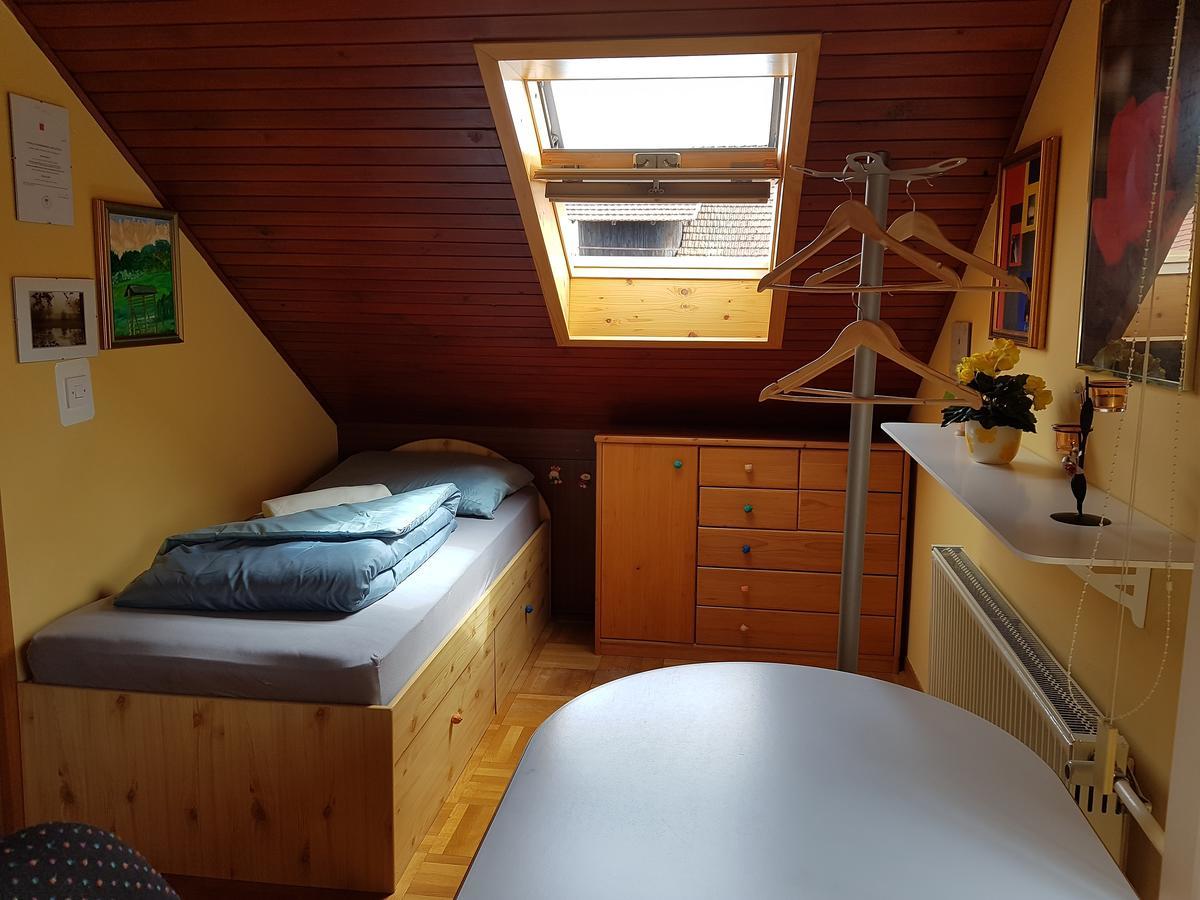 Apartment Manca ليوبليانا المظهر الخارجي الصورة